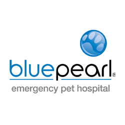 Blue Pearl Animal Hospitals ( NY & NJ )